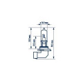 NARVA HB3 Αλογόνου για Προβολείς Πορείας 12V / 60W - 48005 (1τμχ) Λυχνίες Εξωτερικού Φωτισμού