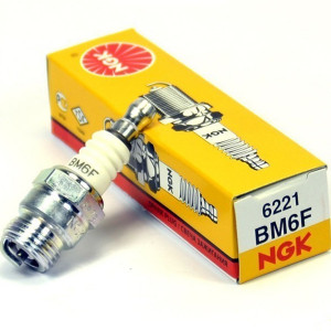  NGK Spark Plug BM6F (6221) Parts